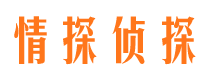 潞城市调查公司